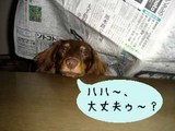 blog209