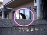 blog248