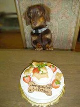 blog228