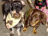 blog224