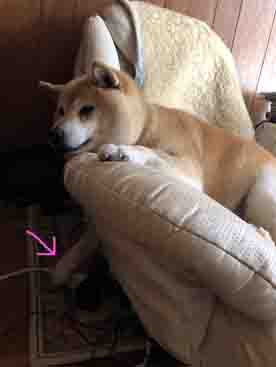 fukusofa1
