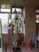 DSCN0548