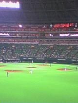 040809_2223~01.jpg