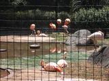 DSCF1163