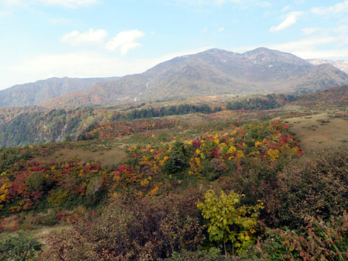 PA100575