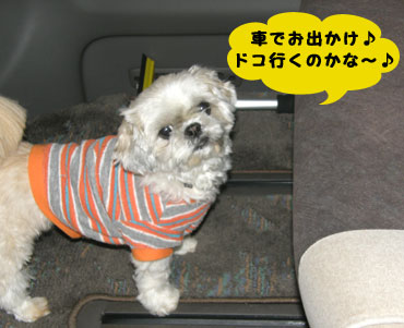���������(080306)1