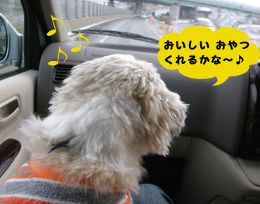 ���������(080306)2