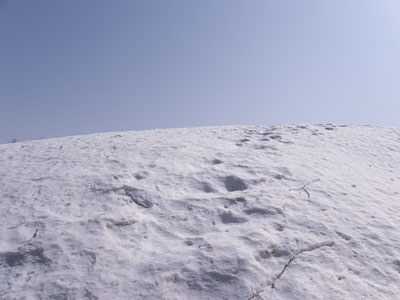 大辻山