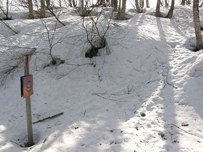 大辻山
