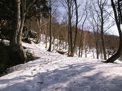 大辻山
