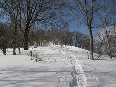 金剛堂山3