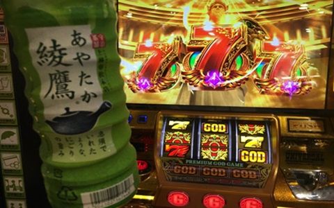 綾鷹