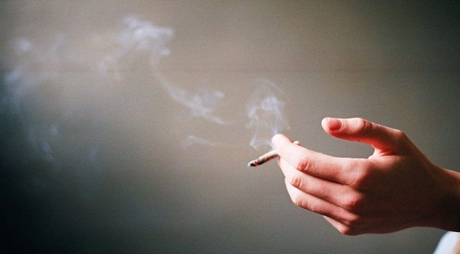 tobacco