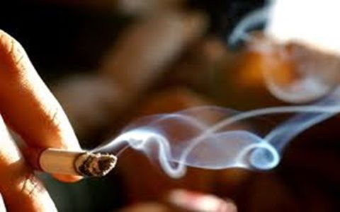 tobacco