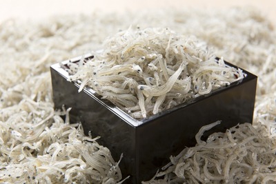 �ޥ�襷�建���ĤΤ�����