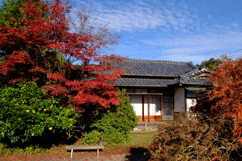 DSCF6148