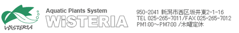 logo_1