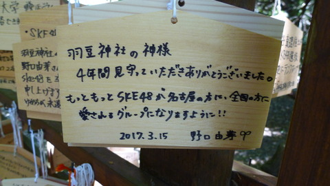 P1030271