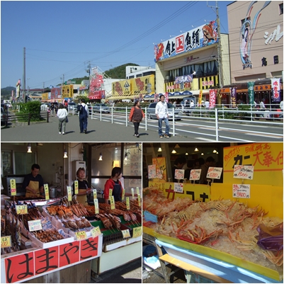 1157日目 08寺泊