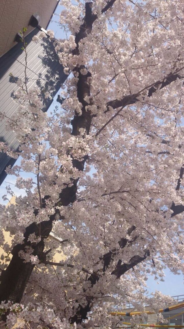2014-04-06-13-51-28