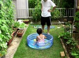 20080708.jpg