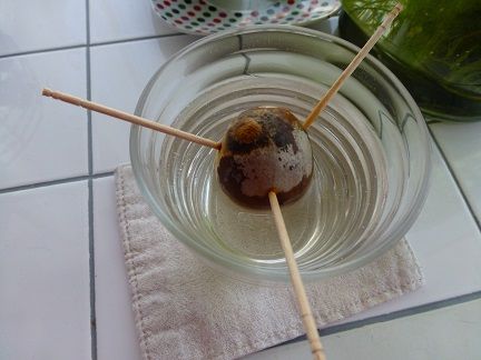 P1000279