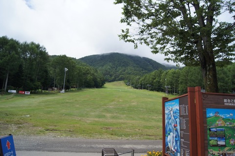 DSC08293