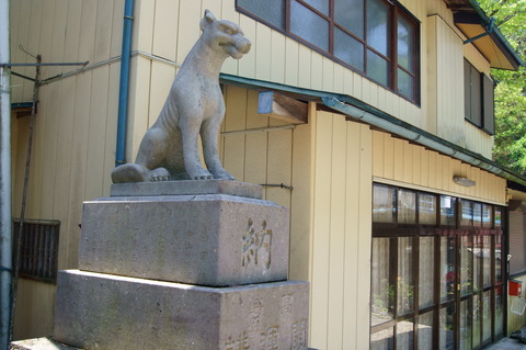 DSC04219
