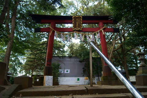 DSC07629