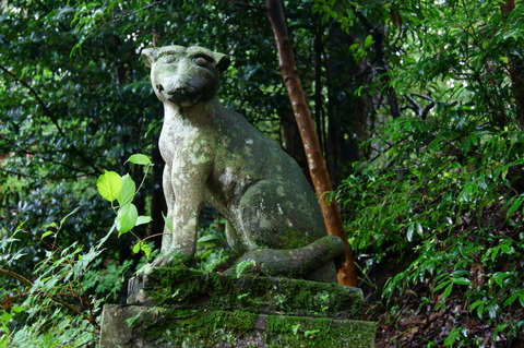 DSC05790