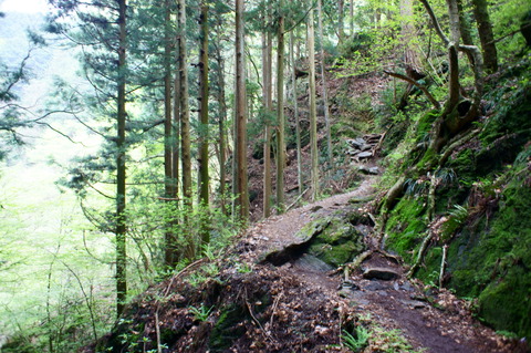 DSC00270