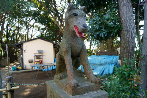 DSC07647