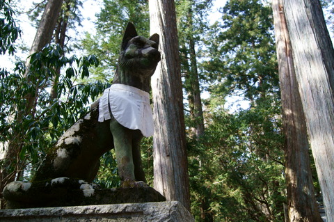 DSC02126-2