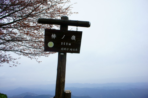 DSC00284