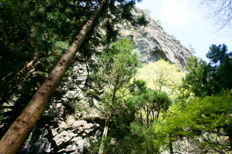 DSC00309