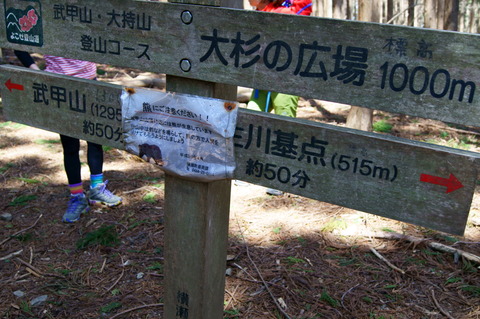 DSC08005