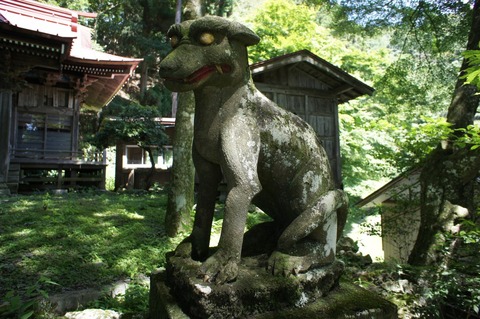 DSC01071