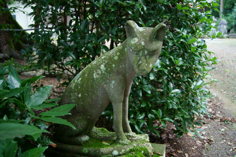 DSC05882