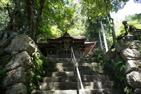 DSC01079