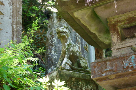 DSC04263