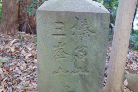 DSC07622