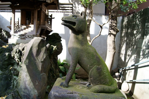 DSC07085