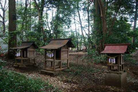 DSC07624