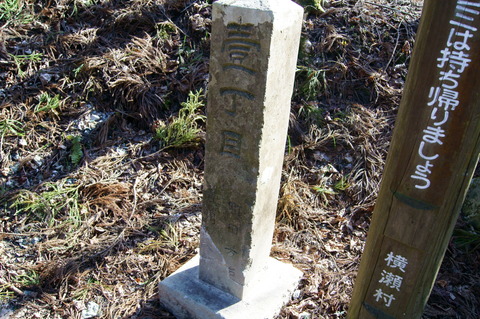 DSC08085