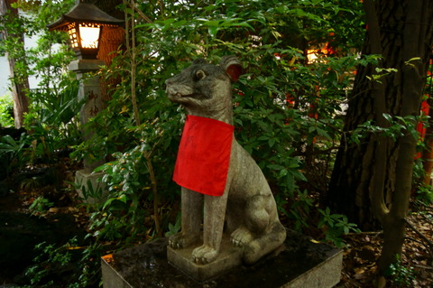 DSC04776