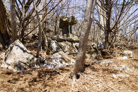 DSC08031
