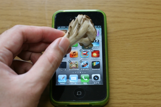 iphoneはエリンギで操作できる