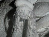 072