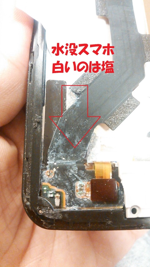 03ae250c.jpg
