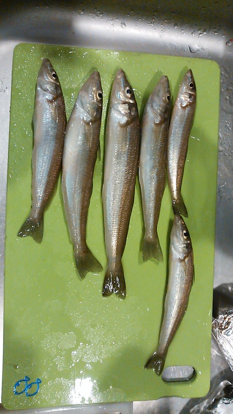 6aa66f6d.jpg